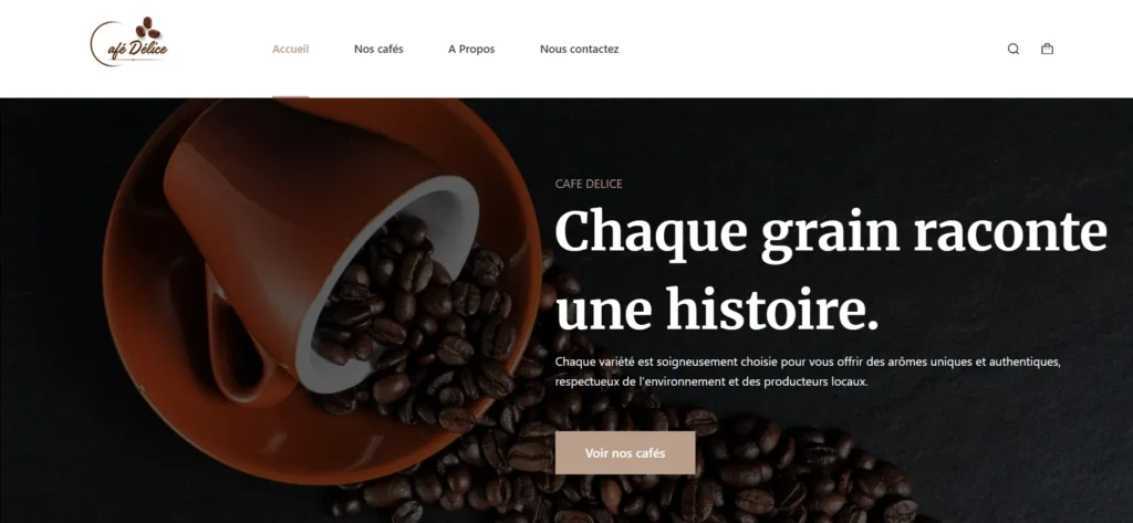 Site vitrine WordPress professionnel Woo commerce